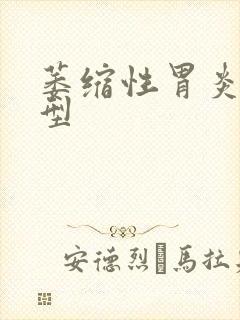 萎缩性胃炎的分型