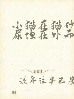 小猫在猫砂盆里尿但在外面拉屎怎么回事