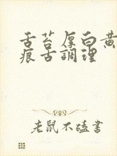 舌苔厚白黄有齿痕舌调理