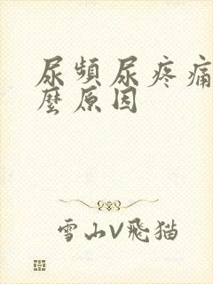 尿频尿疼痛是什么原因