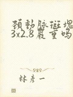 颈动脉斑块9.3x2.8严重吗