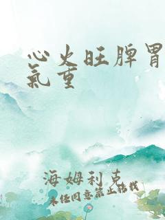 心火旺脾胃虚湿气重