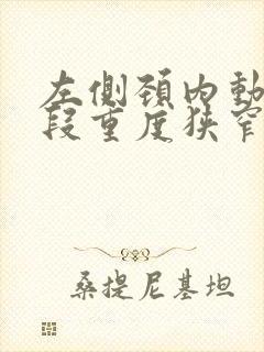 左侧颈内动脉颈段重度狭窄