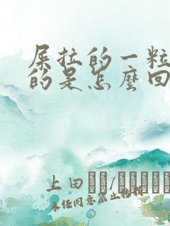 屎拉的一粒一粒的是怎么回事