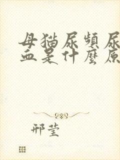 母猫尿频尿少带血是什么原因