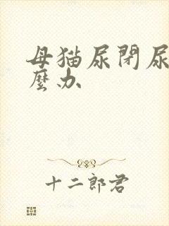 母猫尿闭尿血怎么办