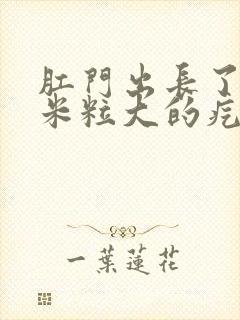 肛门出长了一颗米粒大的疙瘩