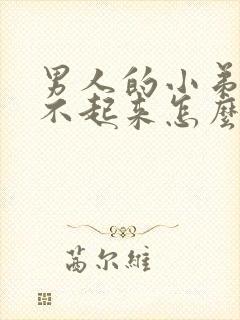 男人的小弟弟硬不起来怎么办