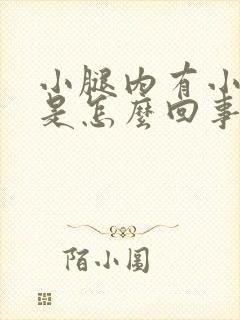 小腿内有小疙瘩是怎么回事