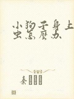 小狗子身上有蜱虫怎么办