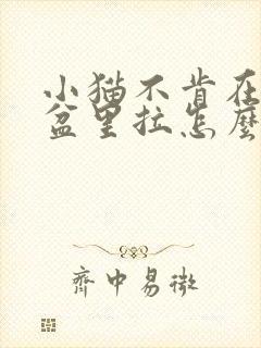 小猫不肯在猫砂盆里拉怎么办