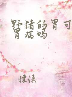 野猪的胃可以治胃病吗