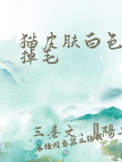 猫皮肤白色皮屑掉毛