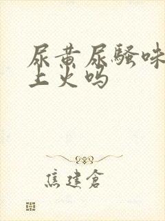 尿黄尿骚味重是上火吗