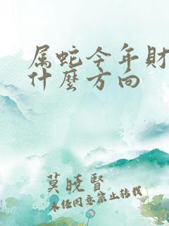 属蛇今年财运在什么方向