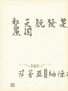 整天脱发是什么原因