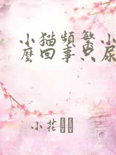 小猫频繁小便怎么回事只尿一点