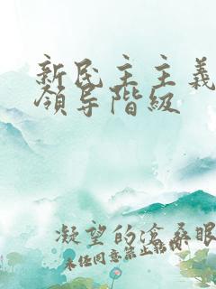 新民主主义革命领导阶级