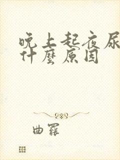 晚上起夜尿多是什么原因