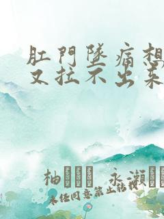 肛门坠痛想大便又拉不出来吃什么药