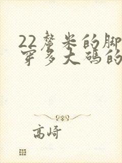 22厘米的脚长穿多大码的鞋