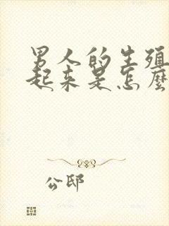 男人的生殖硬不起来是怎么回事