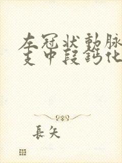 左冠状动脉前降支中段钙化斑块