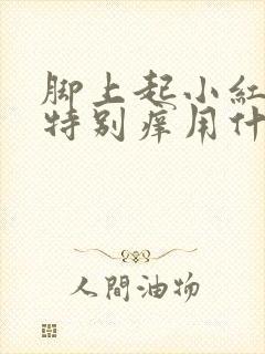 脚上起小红疙瘩特别痒用什么药膏