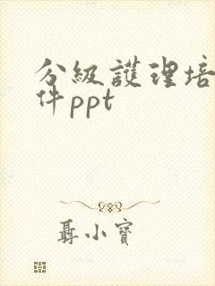 分级护理培训课件ppt