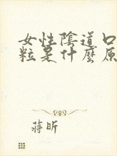 女性阴道口小颗粒是什么原因