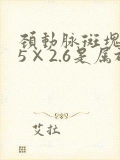 颈动脉斑块8.5×2.6是属于严重的吗