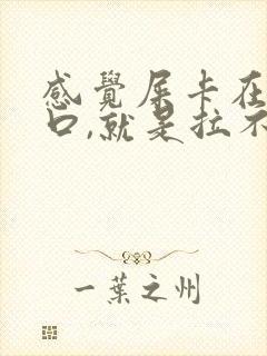 感觉屎卡在肛门口,就是拉不出来