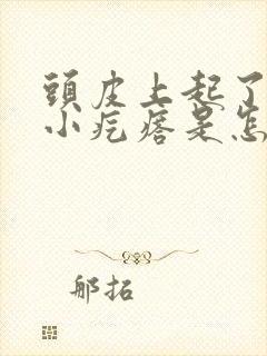 头皮上起了好多小疙瘩是怎么回事