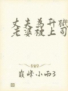 丈夫为升职加薪老婆被上司欺负