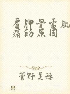 肩胛骨处肌肉酸痛的原因