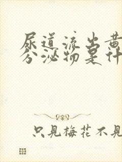 尿道流出黄脓状分泌物是什么