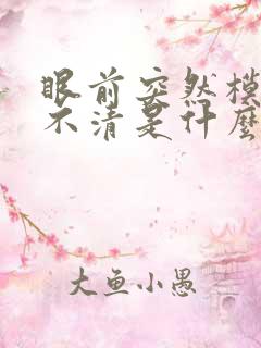 眼前突然模糊看不清是什么原因