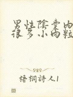 男性阴囊内长了很多小肉粒