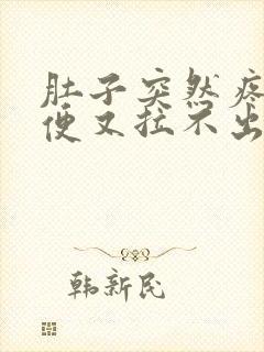 肚子突然疼想大便又拉不出