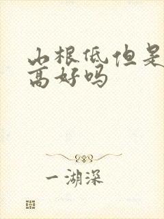 山根低但是鼻梁高好吗