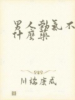 男人勃气不硬吃什么药