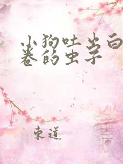 小狗吐出白色打卷的虫子