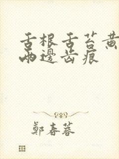 舌根舌苔黄腻 两边齿痕