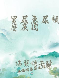 男尿急尿频是什么原因