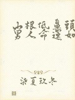 山根低鼻头大的男人命运如何