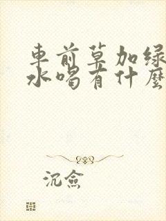 车前草加绿豆煮水喝有什么功效