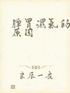 脾胃湿气的引起原因