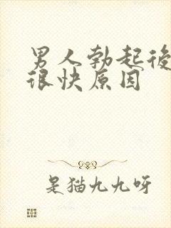 男人勃起后软的很快原因