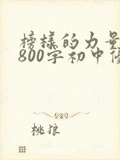 榜样的力量作文800字初中优秀范文