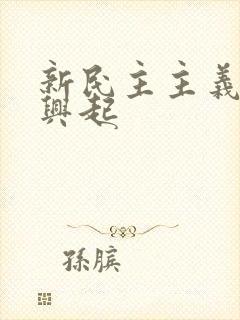 新民主主义革命兴起